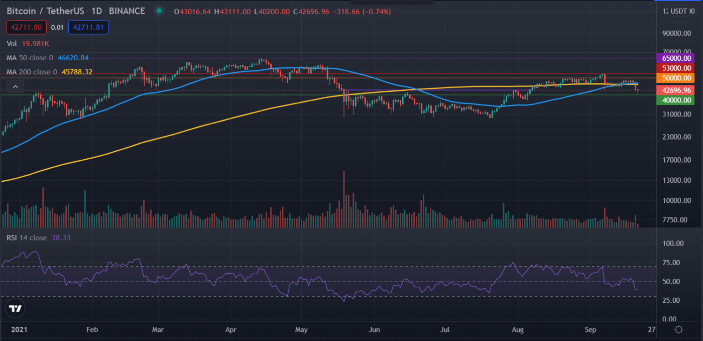 bitcoin dip prediction